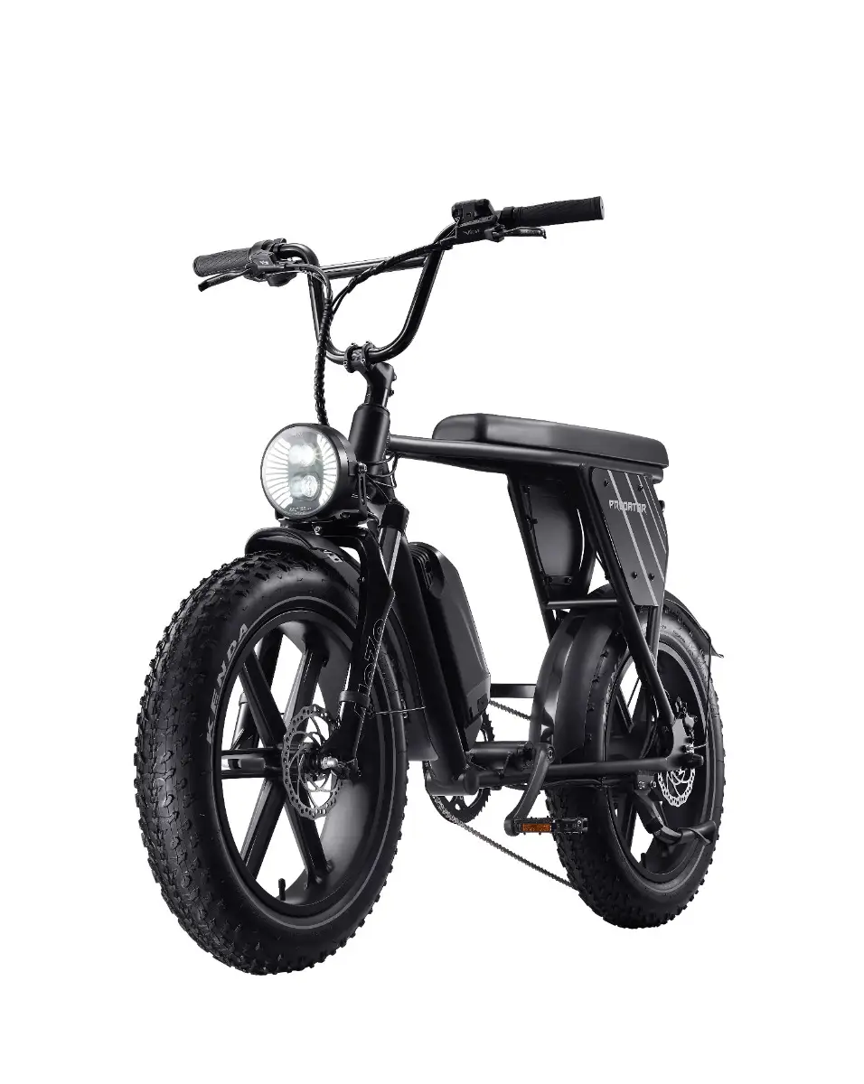 Acer Predator eNomad-R eBike
