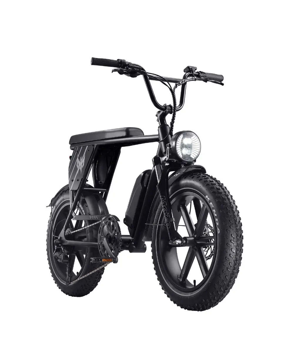 Acer Predator eNomad-R eBike