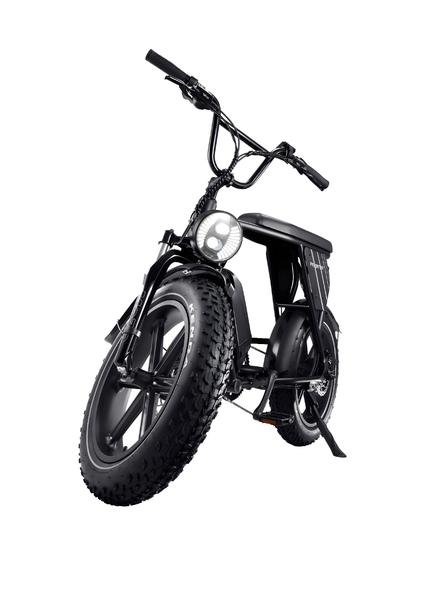 Acer Predator eNomad-R eBike