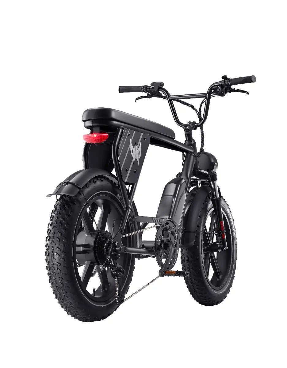 Acer Predator eNomad-R eBike