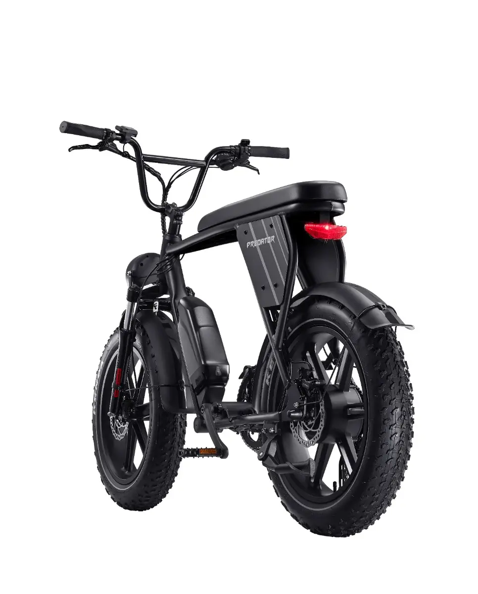 Acer Predator eNomad-R eBike